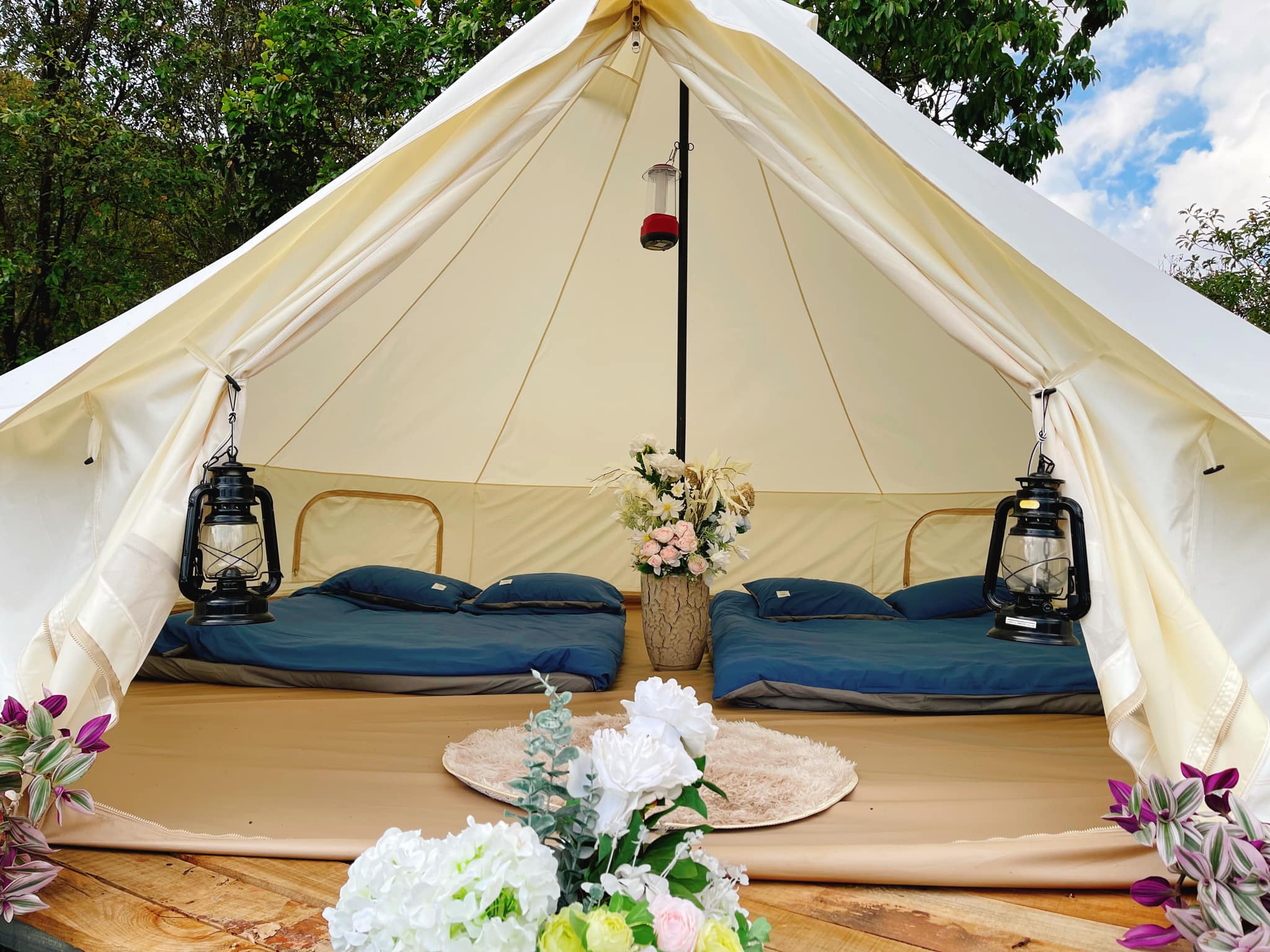 Cao Nguyên Hoa Đà Lạt Cao Nguyên Hoa Đà Lạt