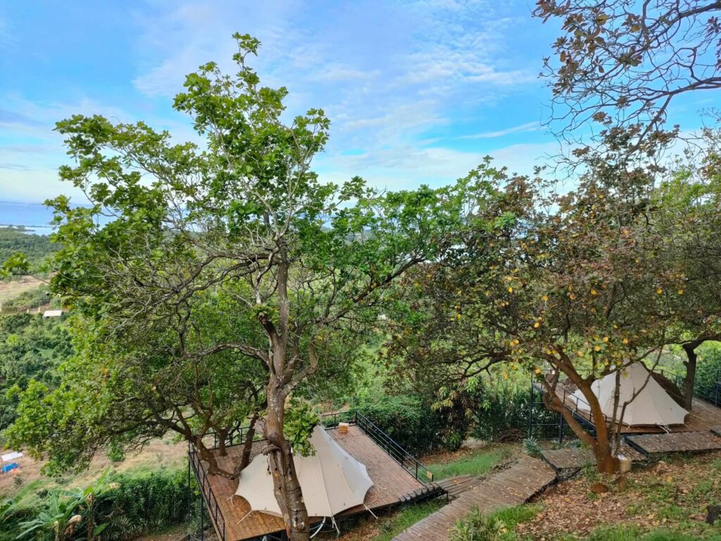 KHU CẮM TRẠI TROPICAL EGLAMPING - GLAMPTRIP | Khám Phá Glamping Tại ...