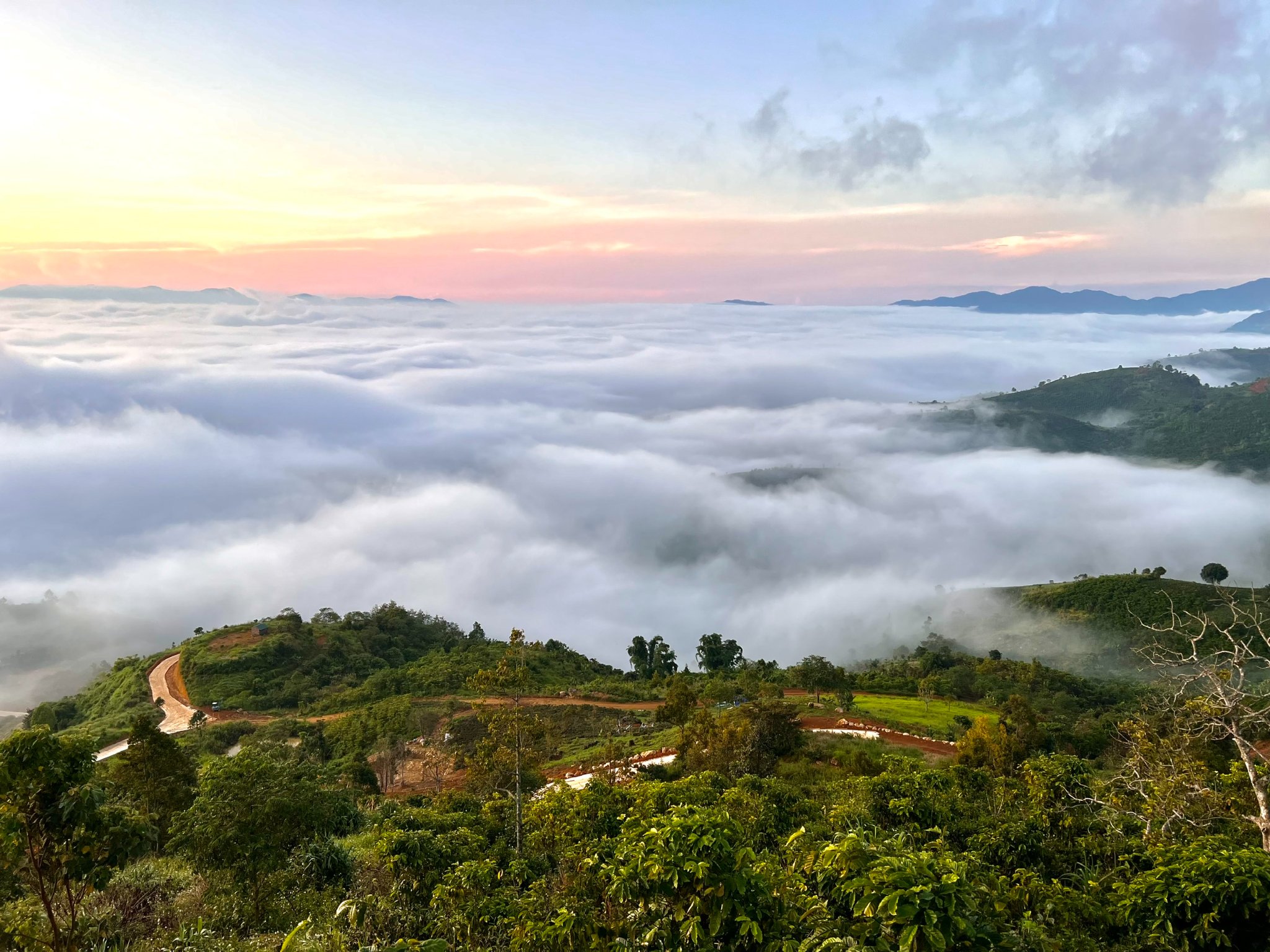 Tận Hưởng Trải Nghiệm Glamping Tại Đồi mây Bảo Lộc | GLAMPTRIP