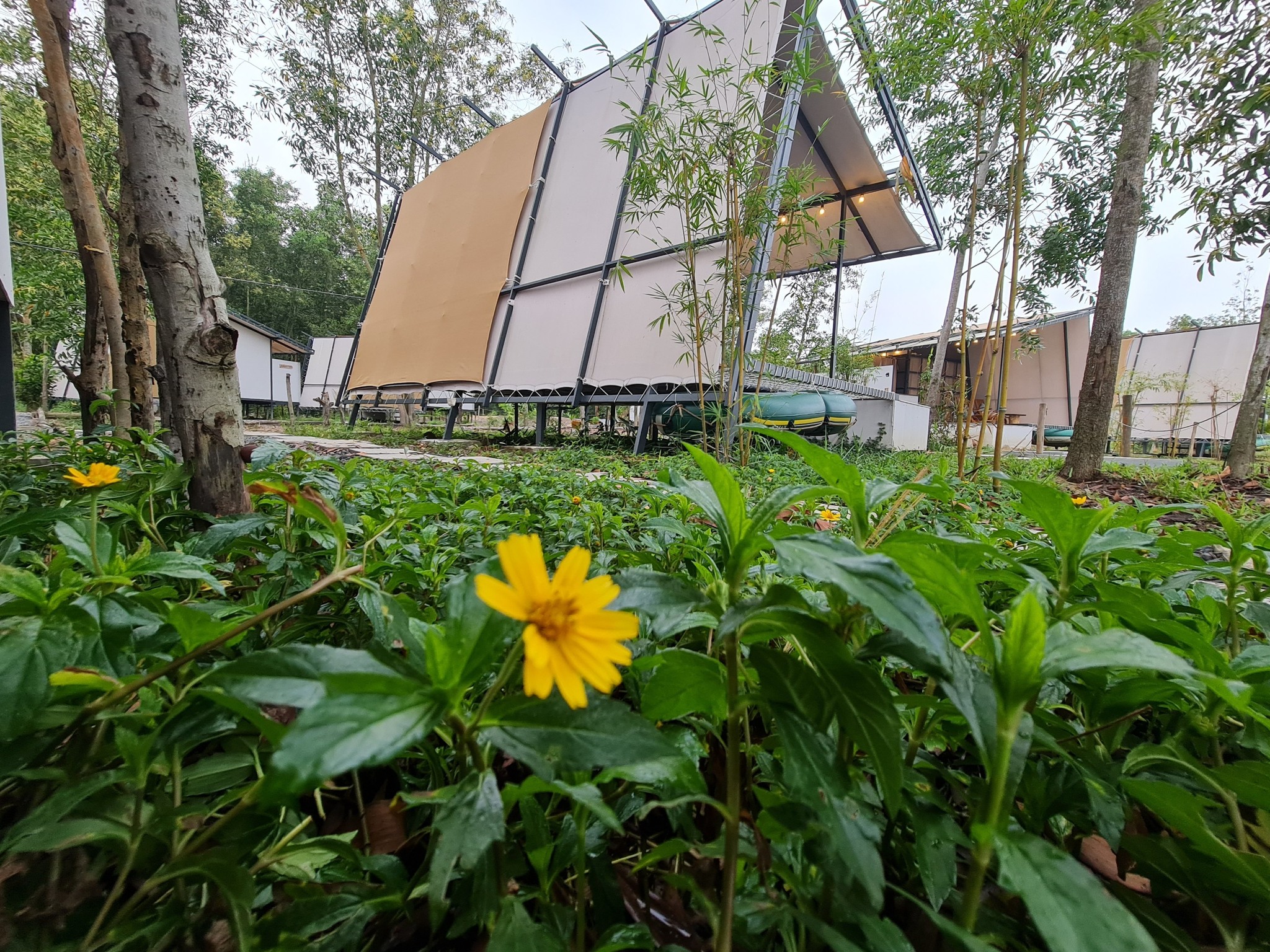 TimeOut Island Glamping Resort