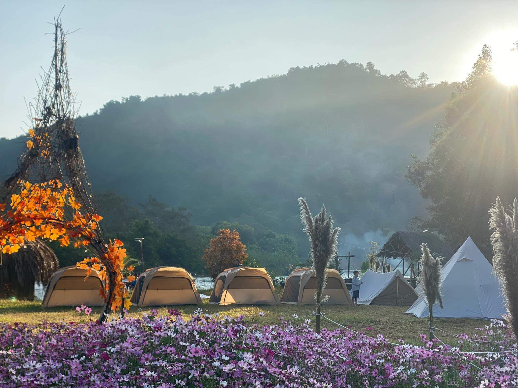 Vườn Hoa La Ngâu