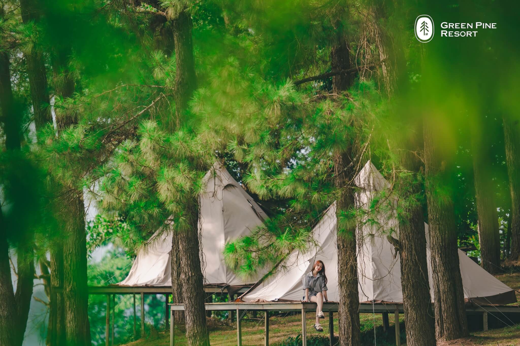 Đồi Thông Hồ Đồng Chương