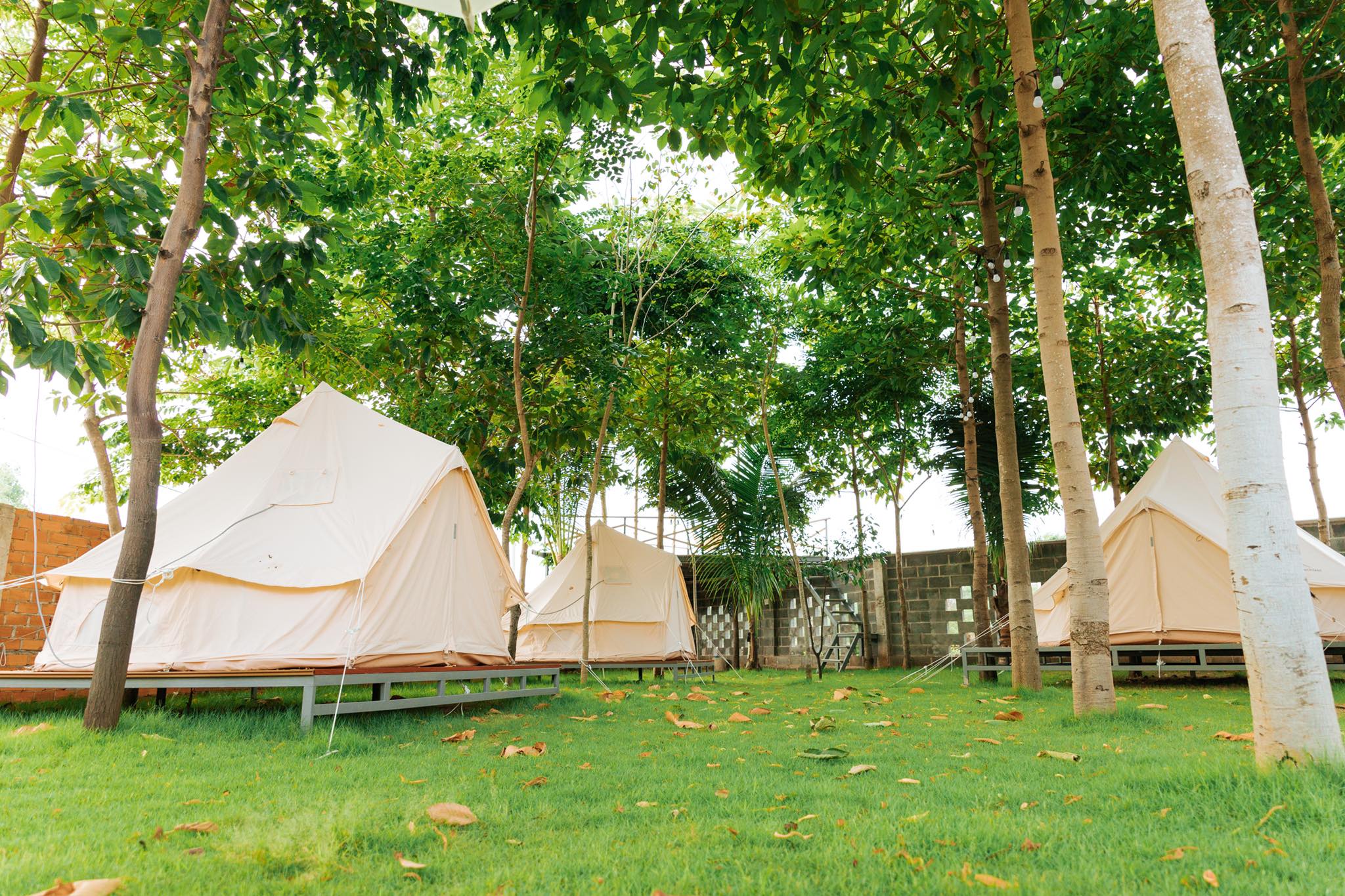 Bụi Homestay & Glamping Phước Hải