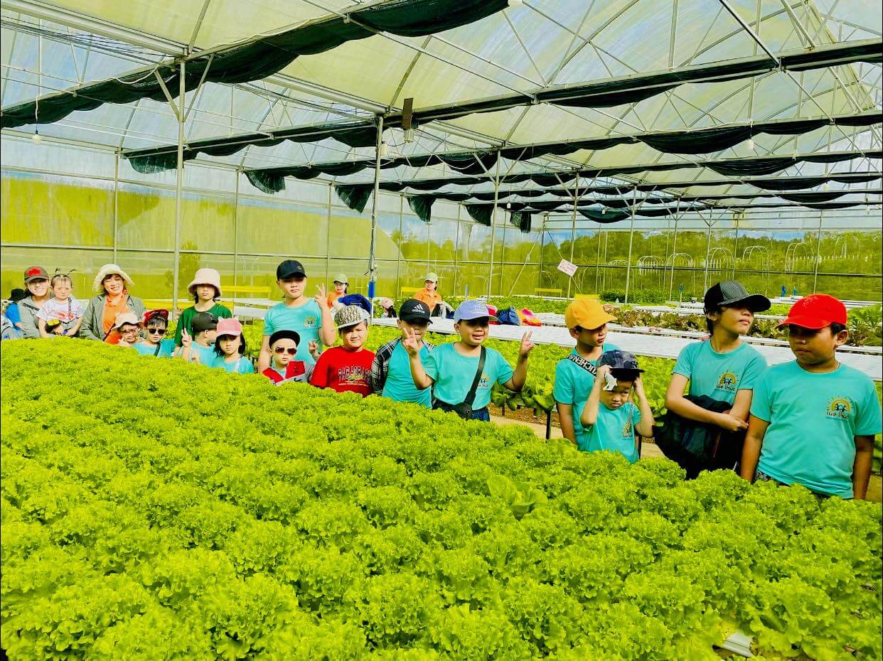 BB Farm – Trang trại dâu tây và rau thuỷ canh-Phú Yên BB Farm – Trang trại dâu tây và rau thuỷ canh-Phú Yên