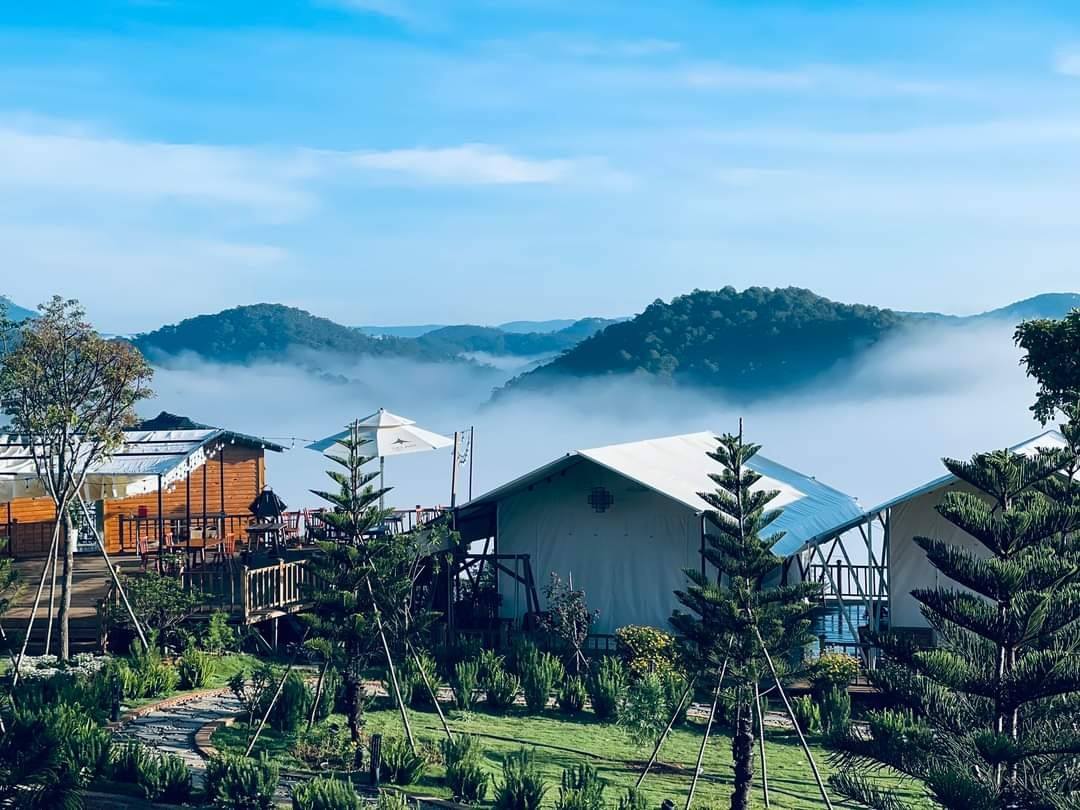 Dalart Glamping & Coffee Dalart Glamping & Coffee