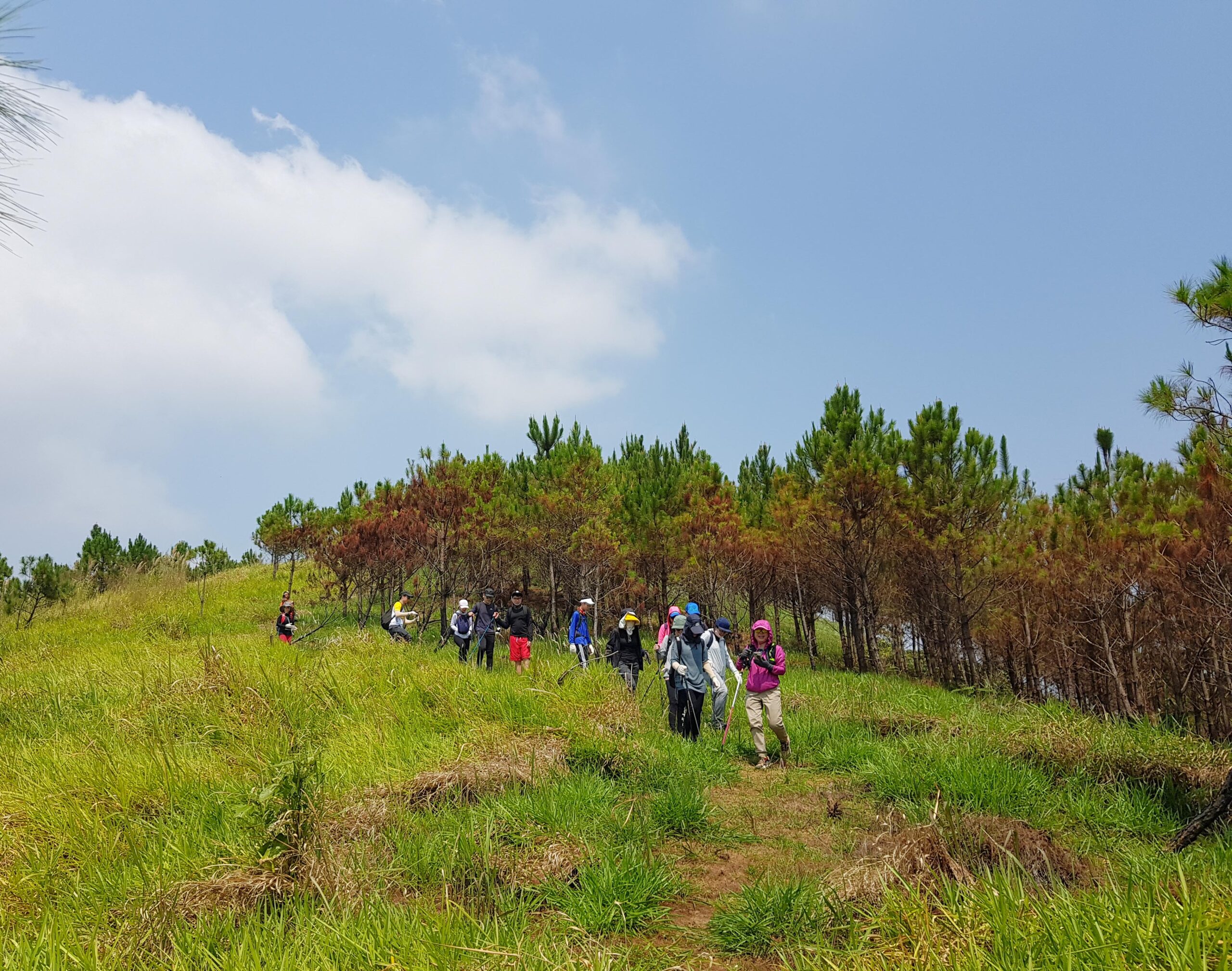 Tour Trekking núi Đại Bình biển mây đại ngàn