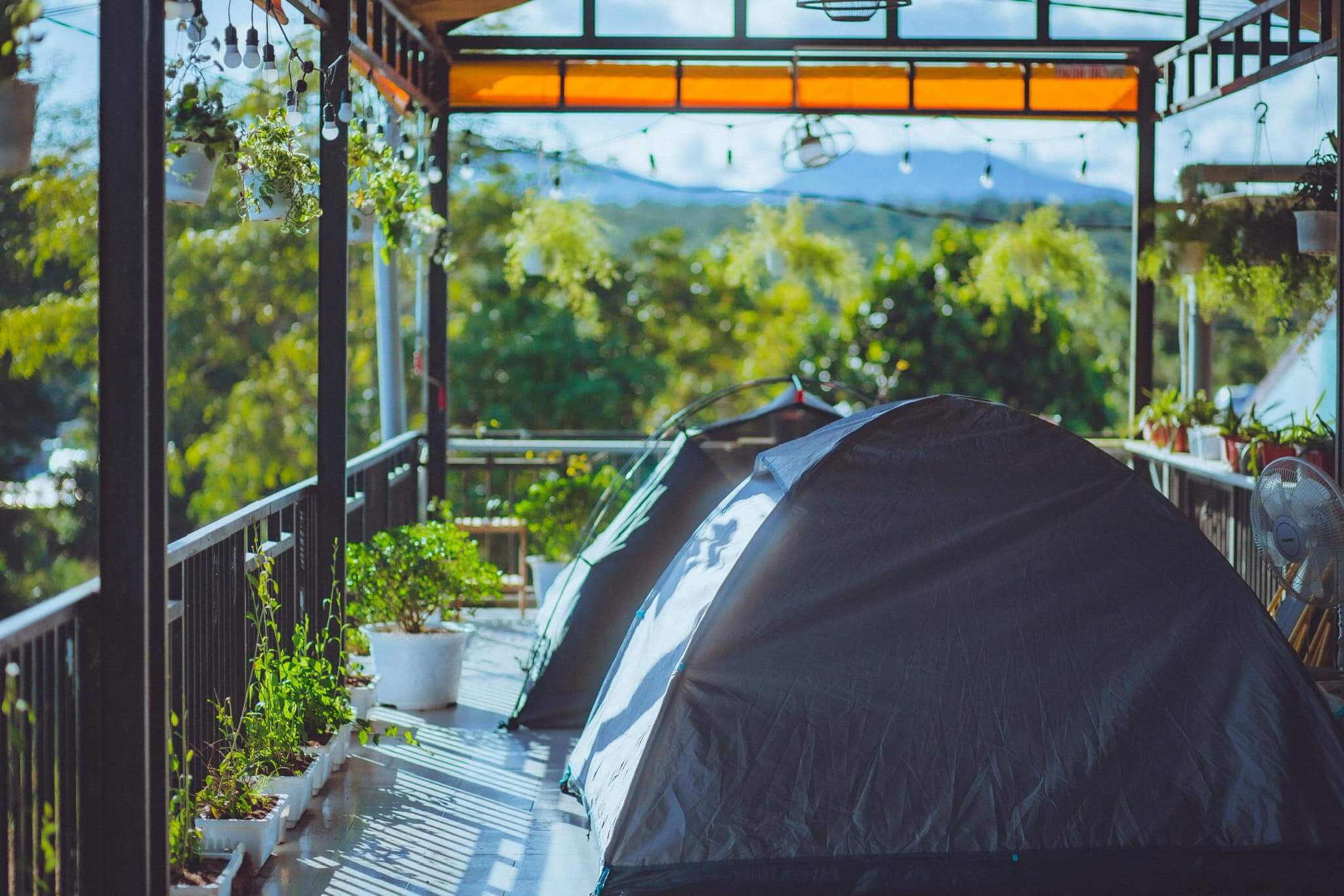 Thien Phu homestay and Coffee – Mang Den