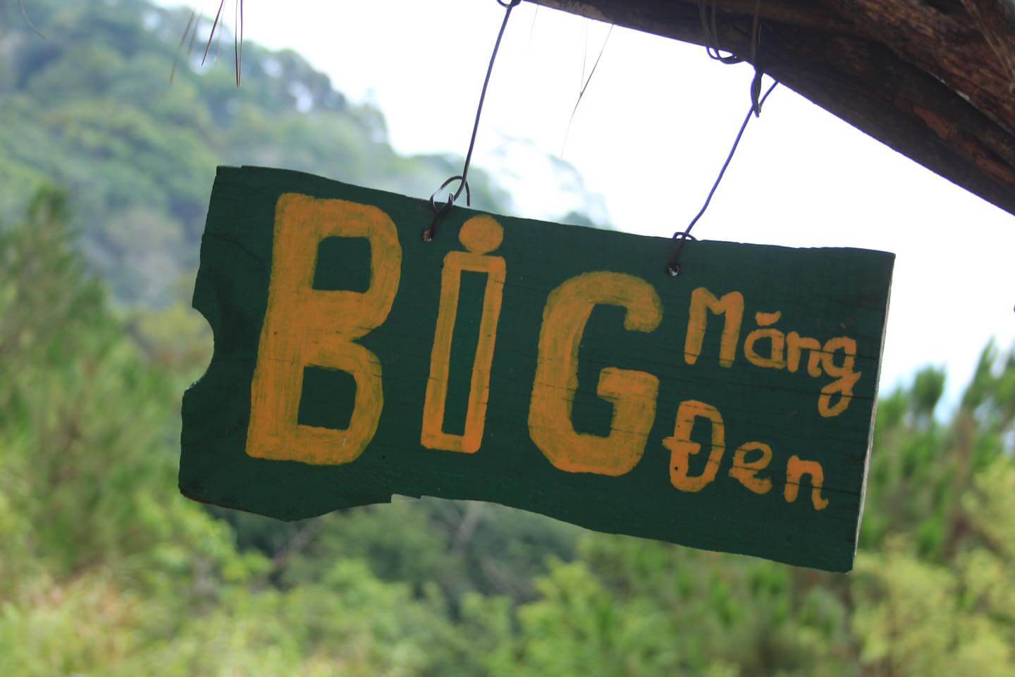 Big Măng Đen Homestay