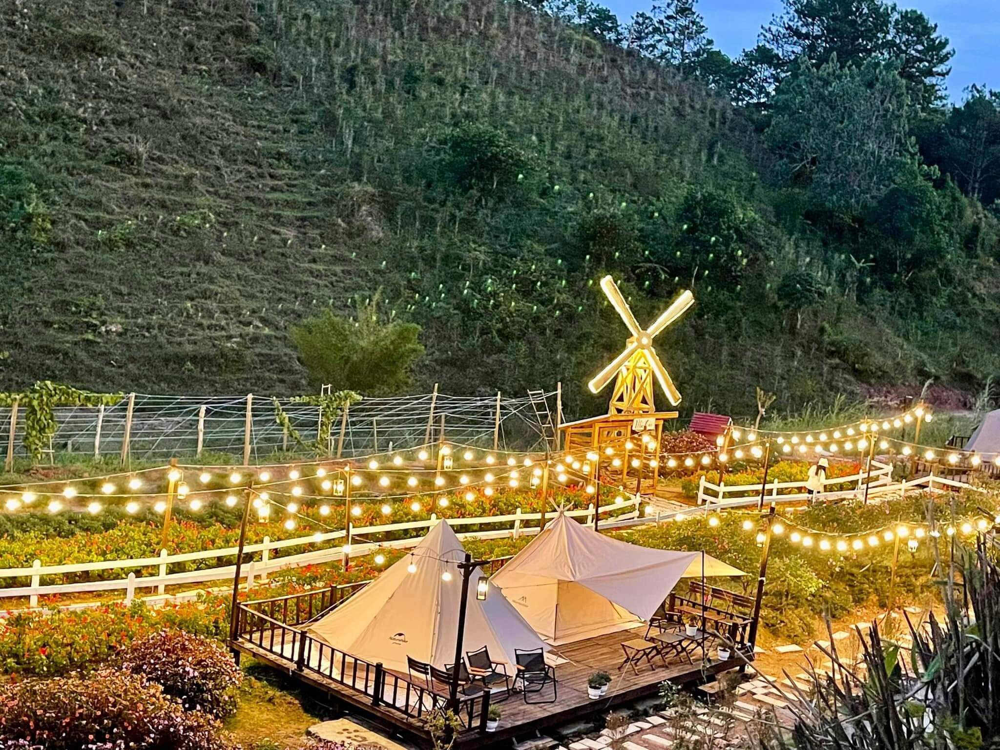 IchigoFarm DaLat IchigoFarm DaLat