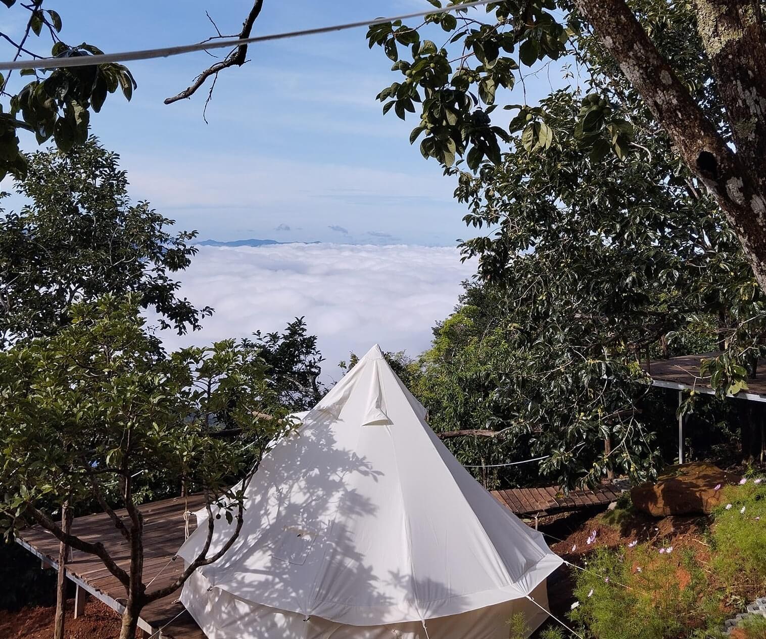 Vườn hồng Lê Phúc Vườn hồng Lê Phúc