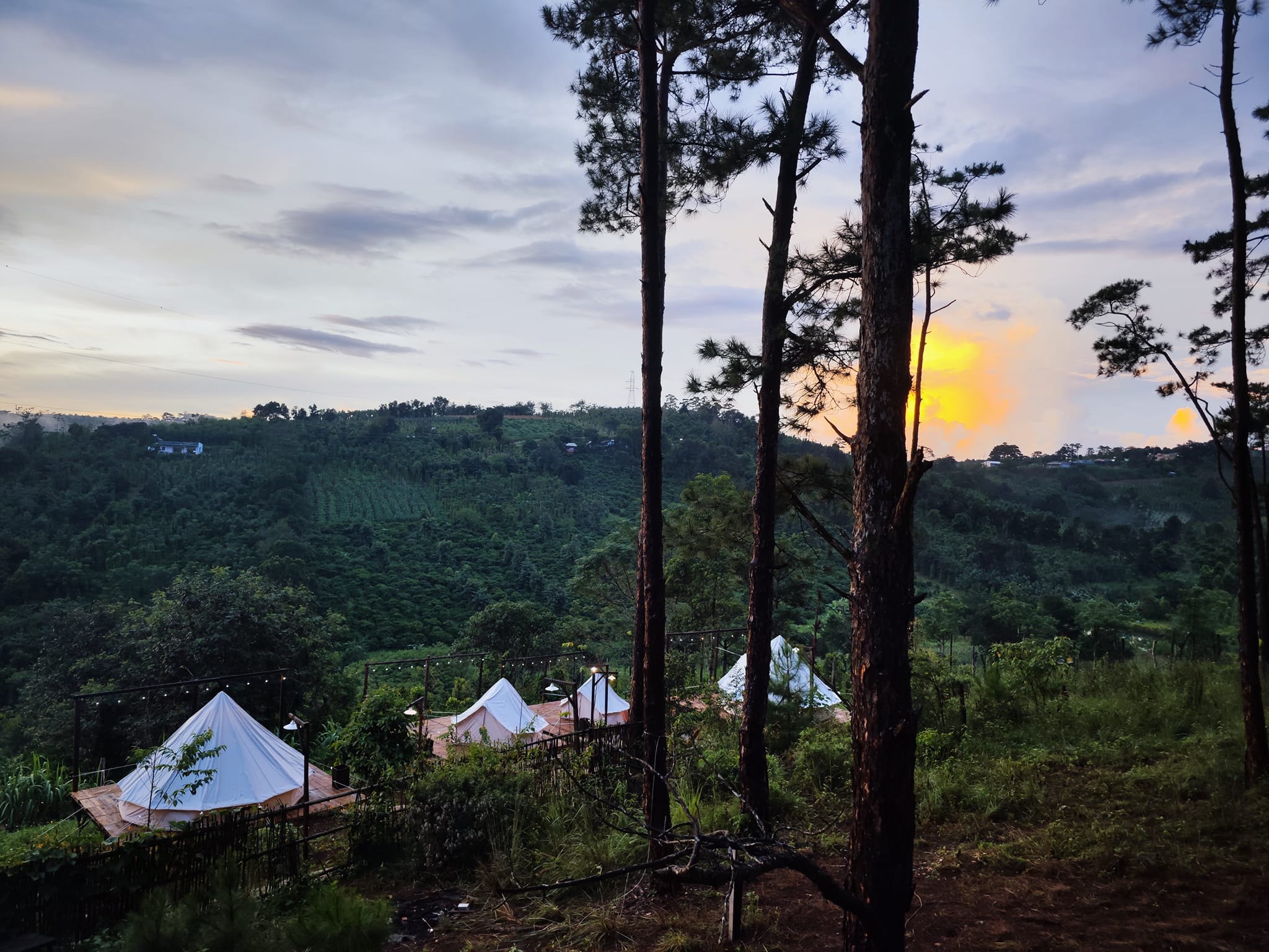 Thông Reo Glamping