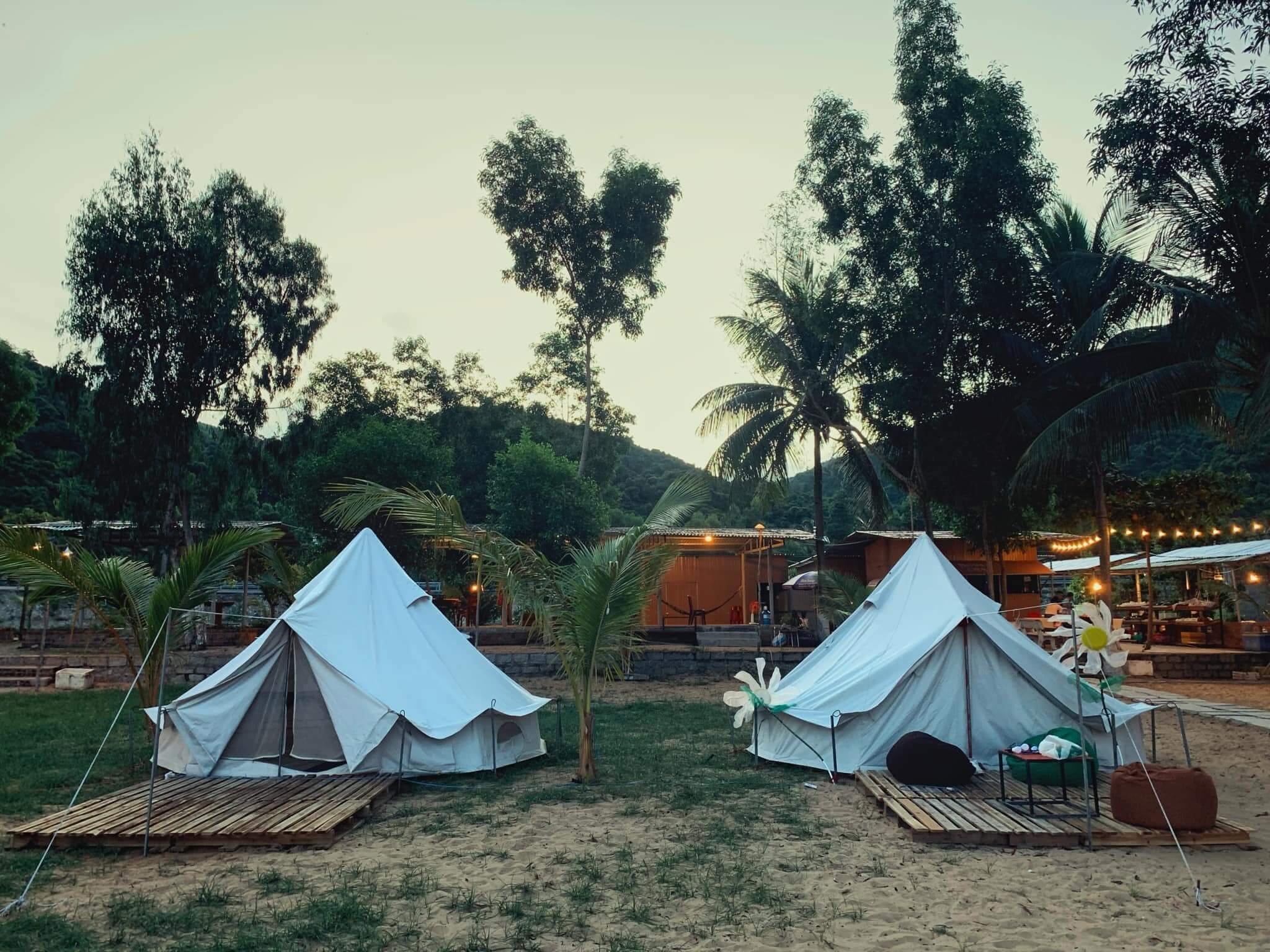 Coconut Trees Campsite