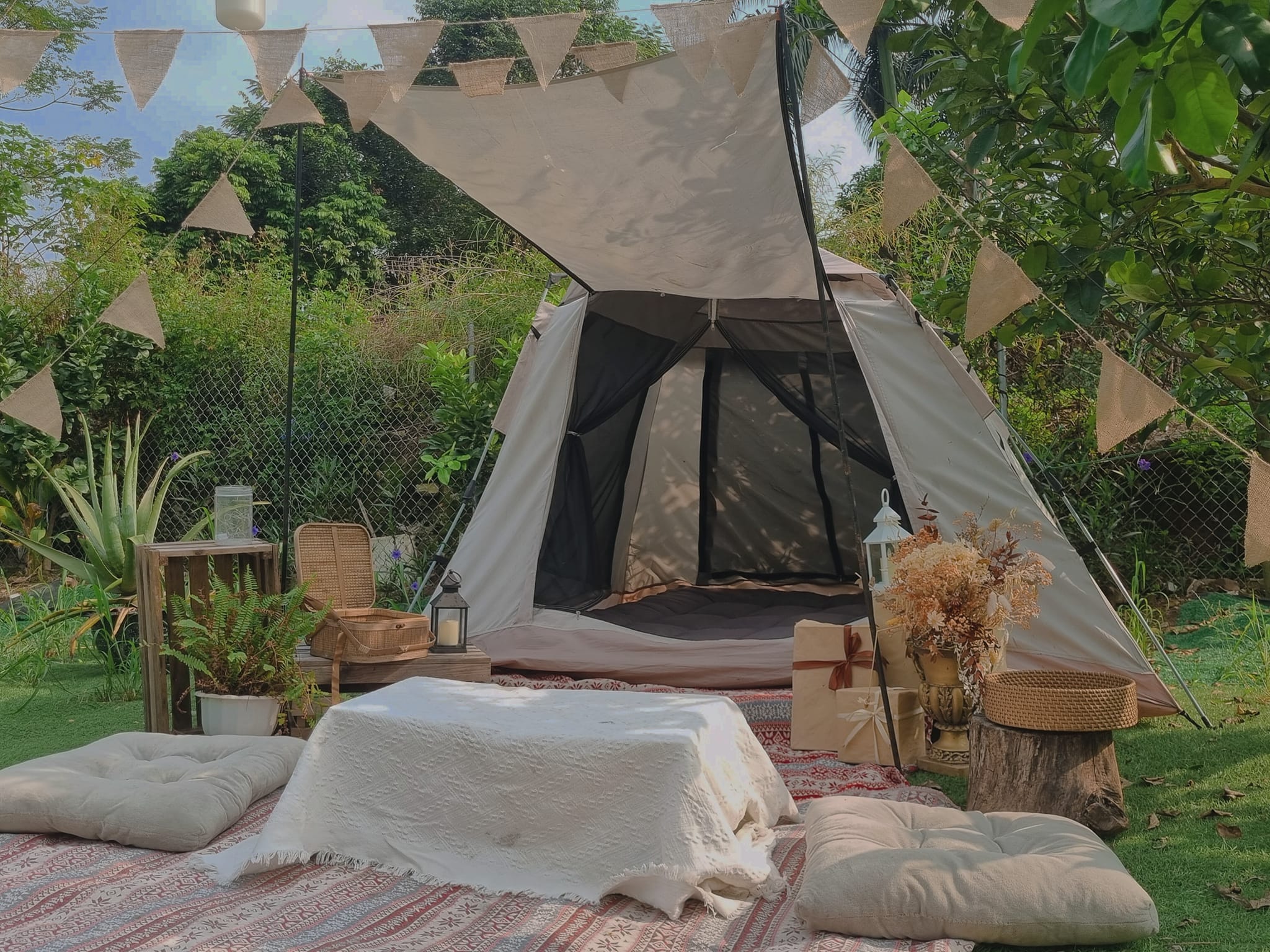 Dream Garden Dream Garden