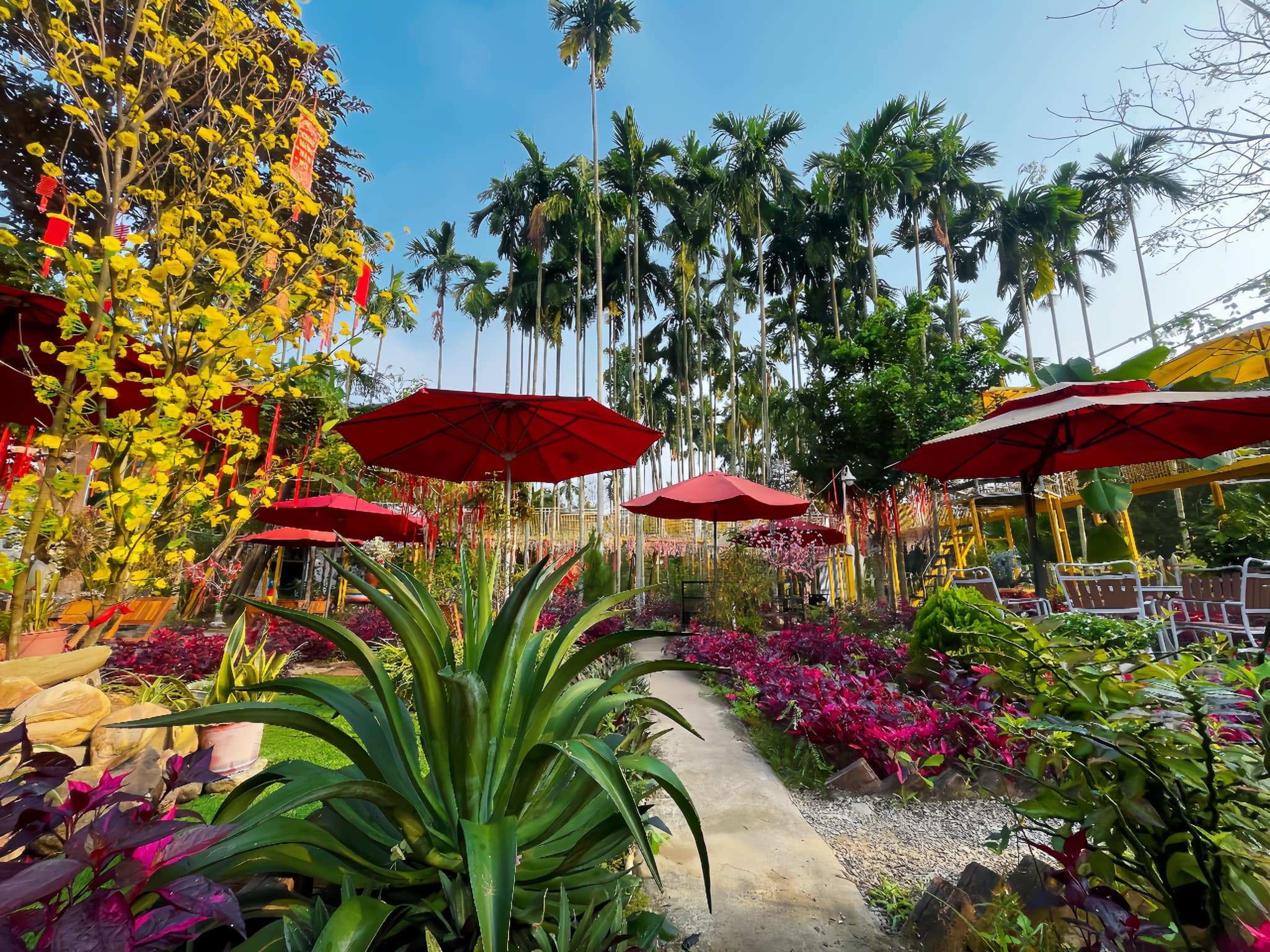 Nhà Của Mạ – Farmstay Nhà Của Mạ – Farmstay