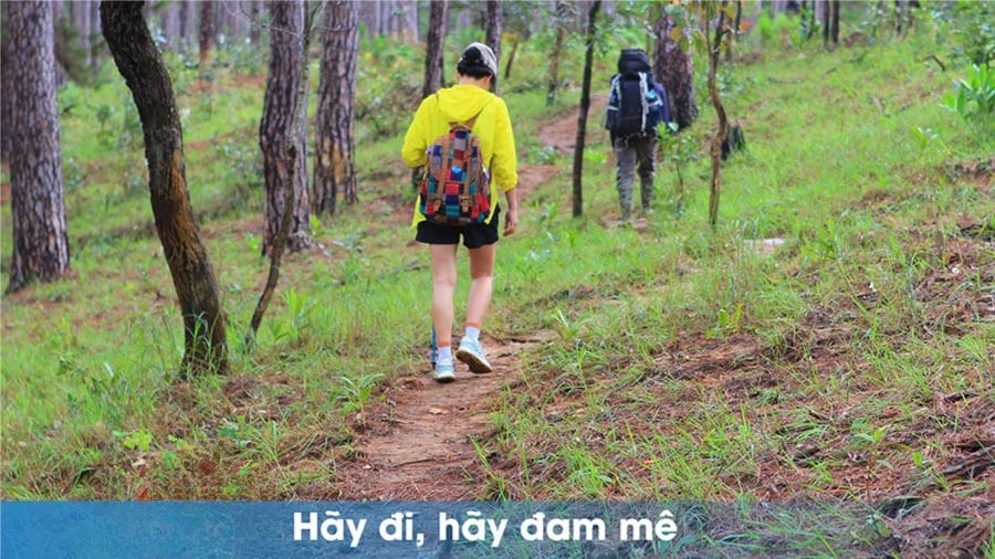 Trekking Bidoup Núi Bà Trekking Bidoup Núi Bà