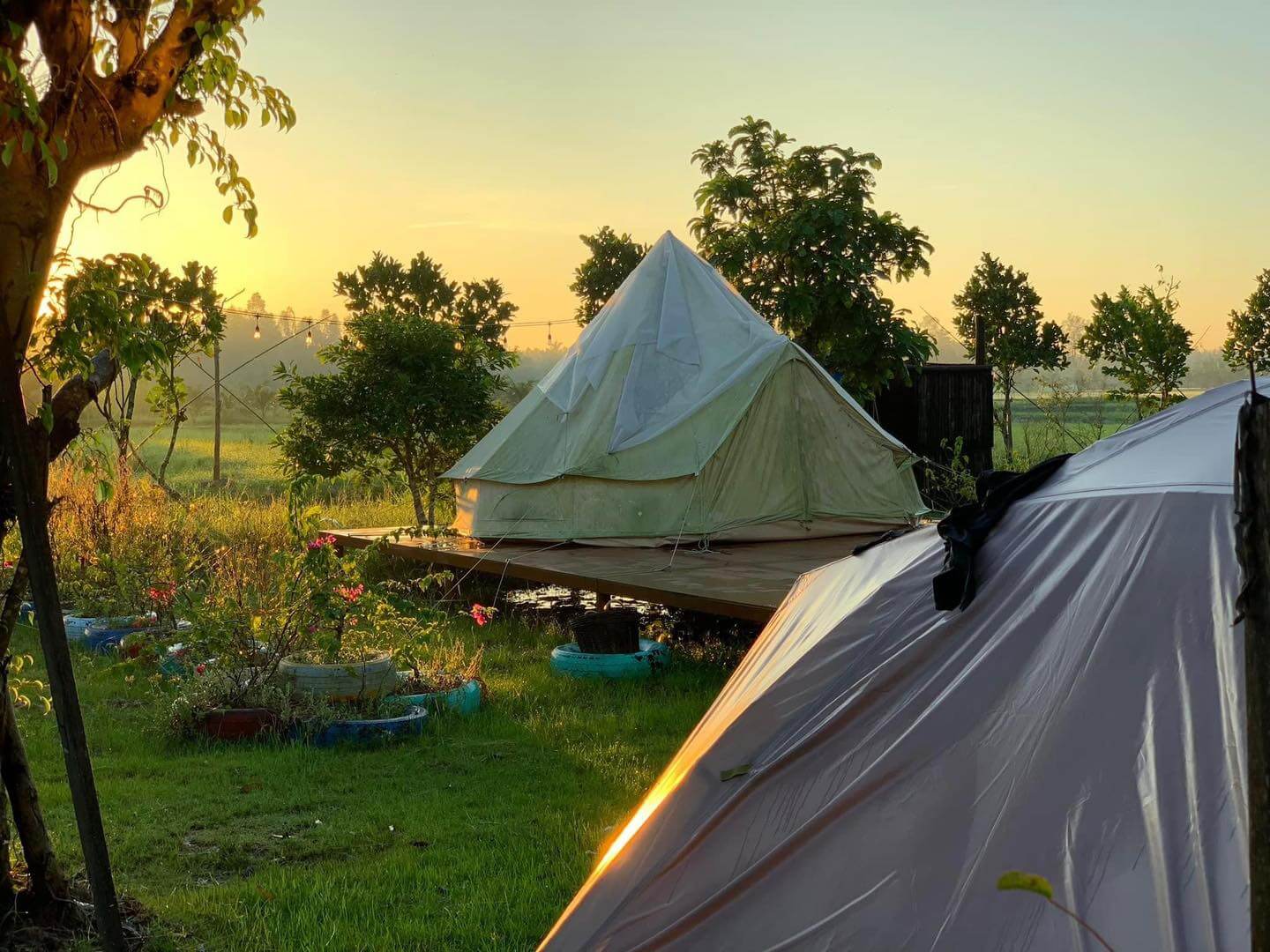 Khu Du Lịch Sala – Vĩnh Long