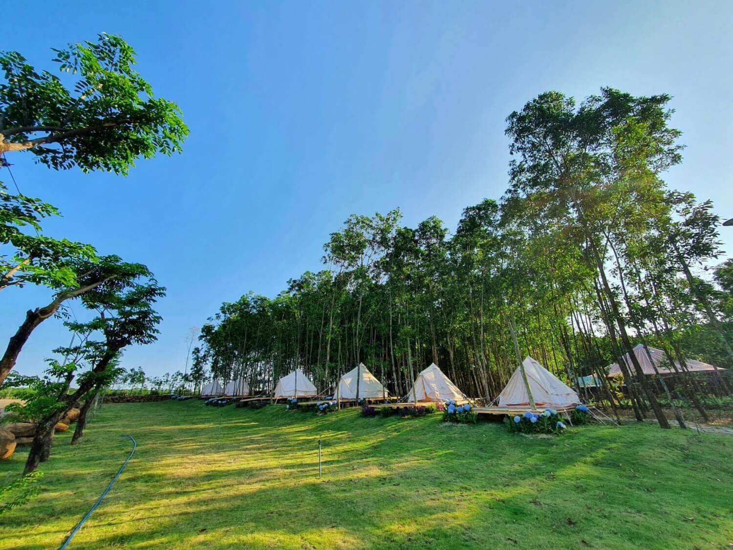 Ngọc Huyền Farm Ngọc Huyền Farm