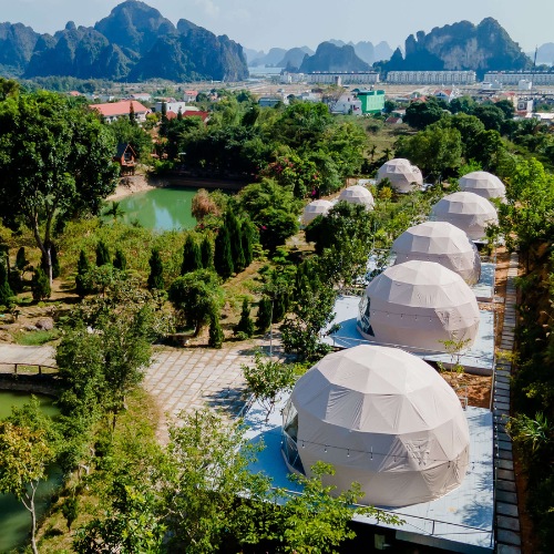 Bái Tử Long Pine Hill