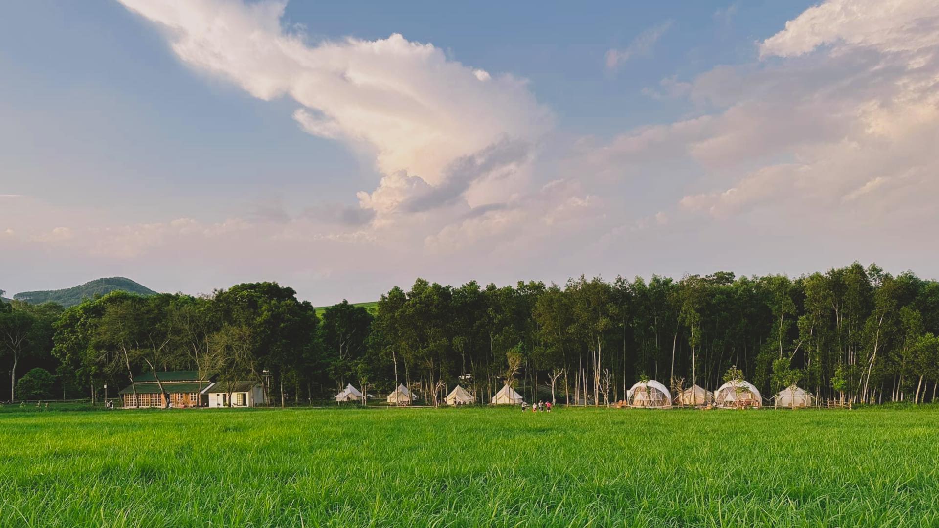Tận Hưởng Trải Nghiệm Glamping Tại The Fields of Phủ Quỳ | GLAMPTRIP
