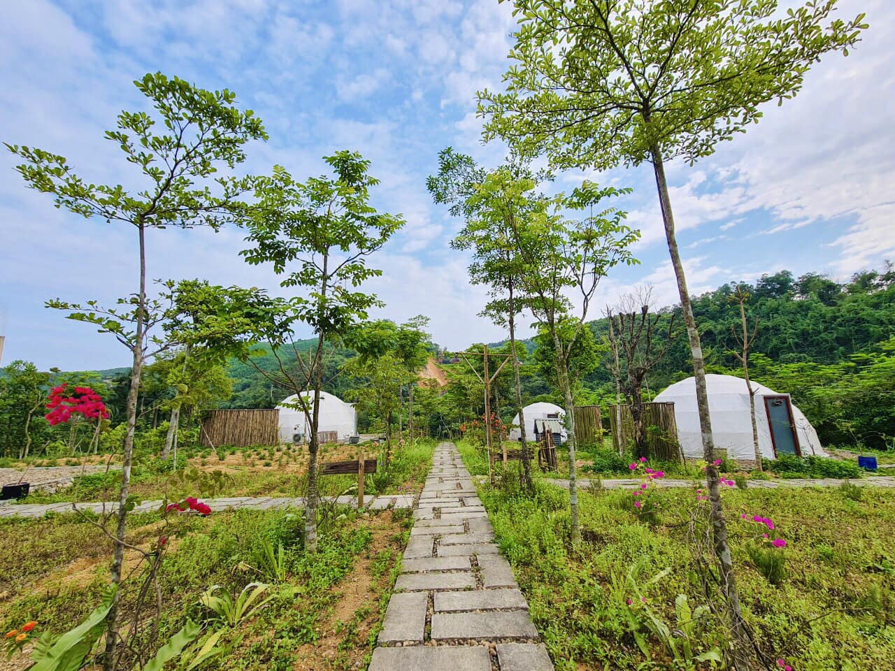 Rosemary Hills Rosemary Hills